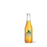 Jarritos Mango (370 ml)